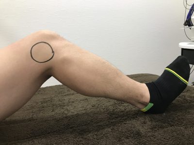 瑞穂市スタッフブロググランピングテストの様子